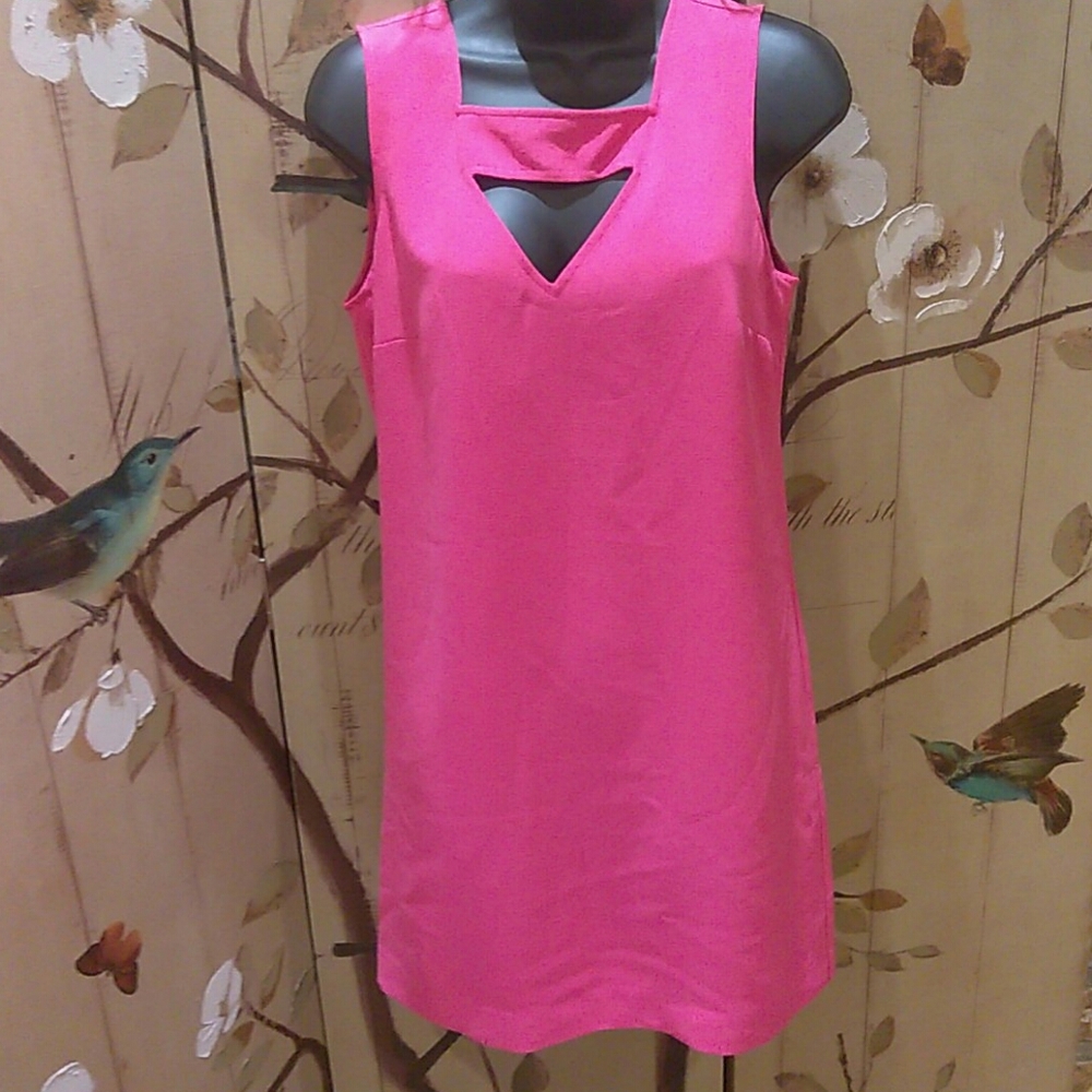NWOT Banana Republic Size 6 Pink Dress - E25